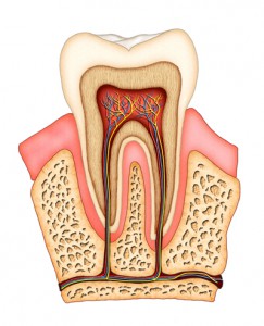 Are Root Canals Safe