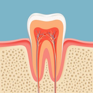 'Root Canal with Pulp'